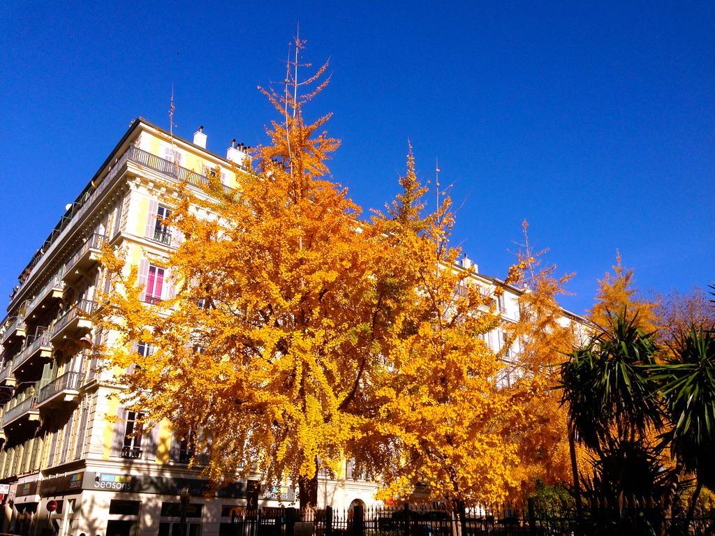 French Riviera * Niza